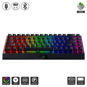 Razer  Blackwidow V3 Mini (Phantom Keycap)